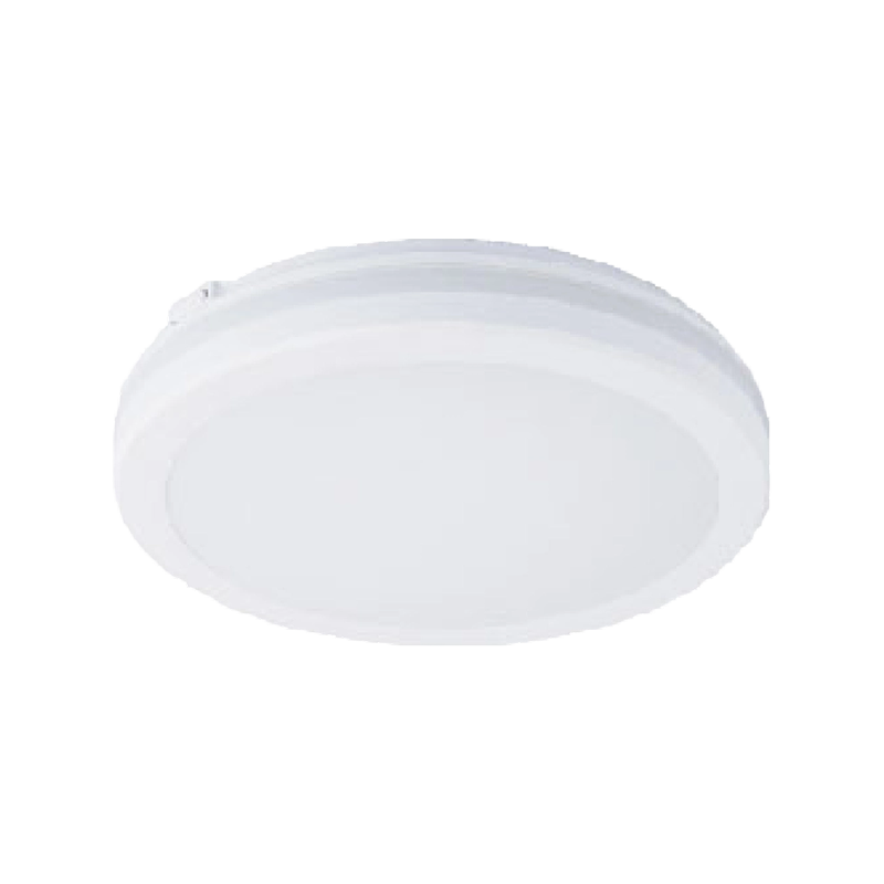 15W, 24W, 36W LED Ceiling Light